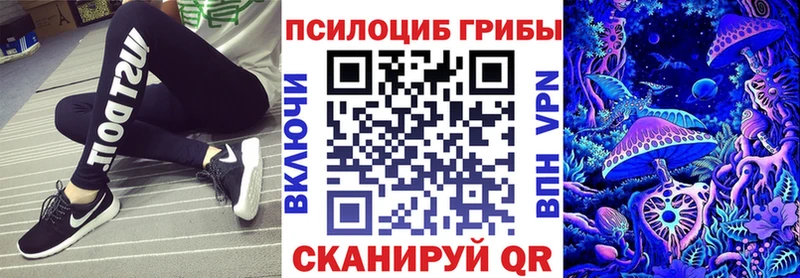 продажа наркотиков  Егорьевск  Галлюциногенные грибы Psilocybe 